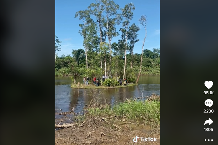 Tangkapan layar video pulau bergerak di Desa Entibab, Kecamatan Bunut Hilir, Kalimantan Barat.