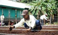 Wujudkan Pertanian Alami, Badan Restorasi Gambut Dukung SLPG