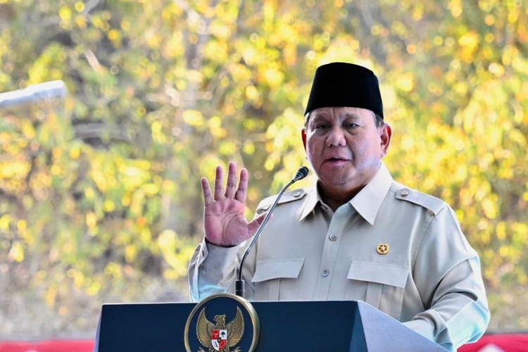 Prabowo Kejar Kemandirian Energi Lewat PLTS 100 GWp, Potensi Hemat Rp 73,9 Triliun per Tahun