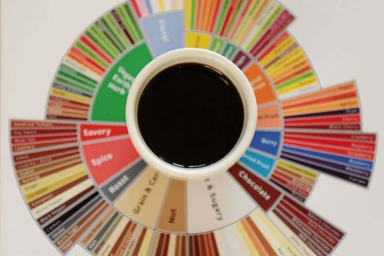 Ilustrasi Coffee Tasters Flavor Wheel. 