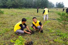 Tanam Pohon di Pesisir Lumajang, Cara Aktivis Lingkungan Lawan Penambangan Pasir