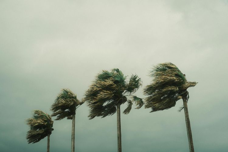 Daftar Wilayah Berpotensi Hujan Lebat hingga Angin Kencang Besok, 9 April 2026: Cek Daerah Anda!