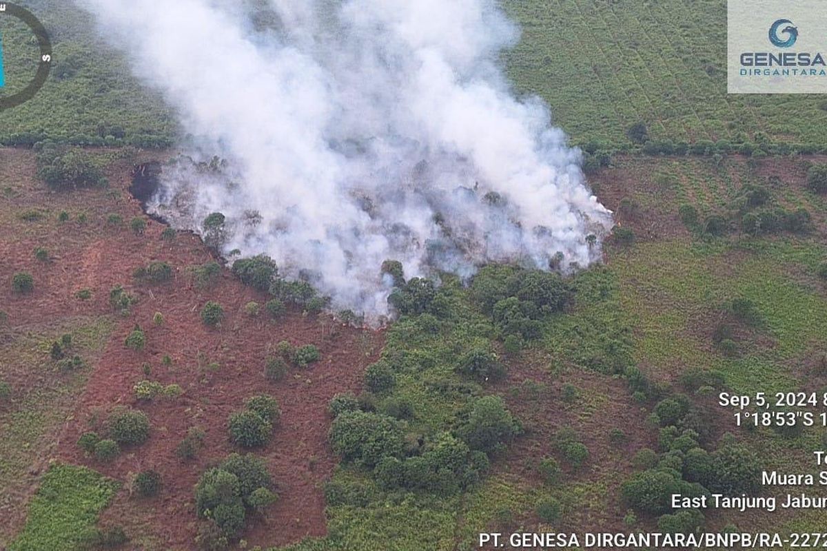 Penampakan kebakaran kawasan Hutan Lindung Gambut Londerang di Kelurahan Teluk Dawan, Kecamatan Muara Sabak Barat, Kabupaten Tanjung Jabung Timur, Jambi, Kamis (5/9/2024)