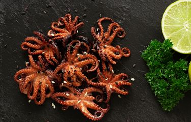 5 Tips Memanggang Baby Octopus agar Tidak Alot, Pakai Api Besar