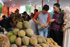 Malaysia Berupaya Kuasai Pasar Durian di China