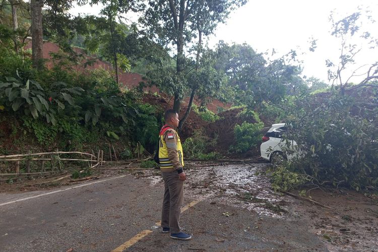 Pohon yang tumbang pada salah satu jalan nasional di Kabupaten Cianjur, Jawa Barat. Ini merupakan dampak dari gempa berkekuatan 5,6 SR yang terjadi pada Selasa (21/11/2022) di Cianjur.  