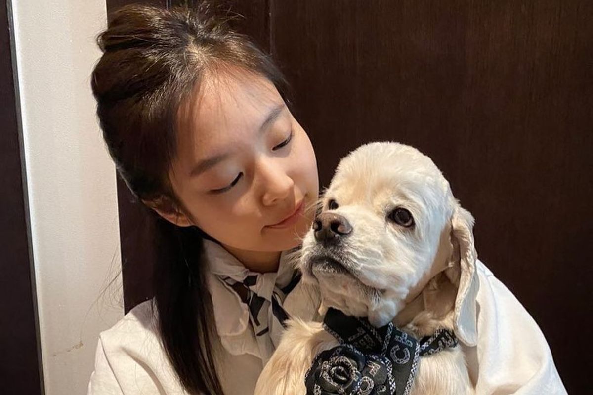 Jennie BLACKPINK bersama anjing kesayangannya, Kai. Ketika tampil di sebuah acara televisi, Jennie mengungkapkan kabar kematian Kai.
