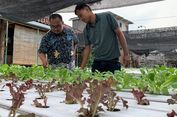 Di Jantung Surabaya, Mehdy Buktikan Sayur Bisa Tumbuh Tanpa Tanah Lewat Ekosistem Urban Farming