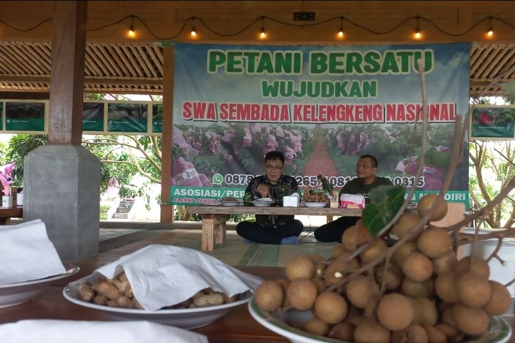 Kebun Kelengkeng Berkonsep Agrowisata di Kebumen, Pas untuk Melepas Penat