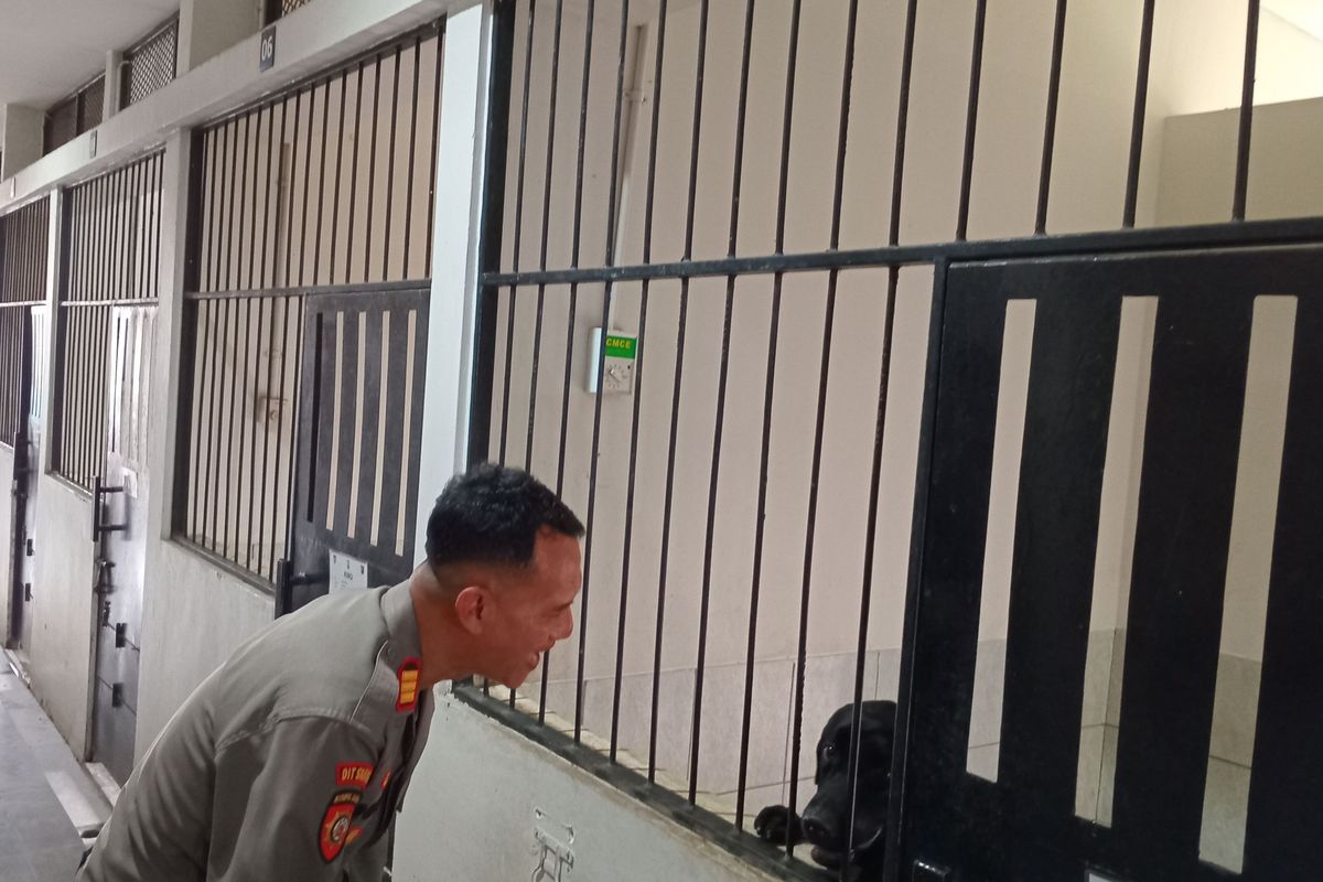 Kepala Unit K9 Polda Metro Jaya APK Ari Krismanto ketika membagikan pengalamannya melatih anjing di Unit Polsatwa K9 Polda Metro Jaya, Slipi, Jakarta Barat, Rabu (12/6/2024). 