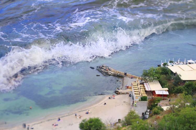 Beberapa binatang dikatakan bisa mengendus datangnya tsunami, salah satunya gajah dan kerbau.