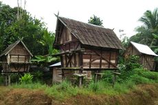 Lumbung Padi Dayak Lamandau yang Kosong setelah Larangan Bakar Lahan