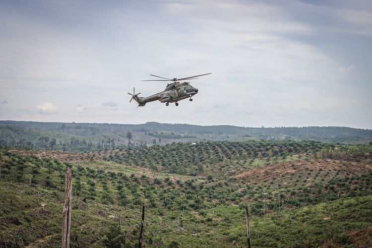 Kebun sawit terbesar di Indonesia adalah Riau. Di urutan kedua di Sumatera, perkebunan kelapa sawit terluas di Indonesia berada di Sumatera Utara.