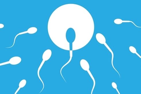 20 Penyebab Kualitas Sperma Buruk, Termasuk Karena Kebiasaan