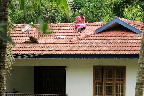 Susah Sinyal, Mahasisiwi di India Naik ke Atap Rumah Demi Kuliah Online