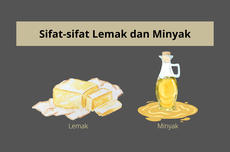 Perbedaan antara Lemak dan Minyak