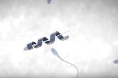 Robot Sperma Bantu Pasangan Agar Punya Momongan