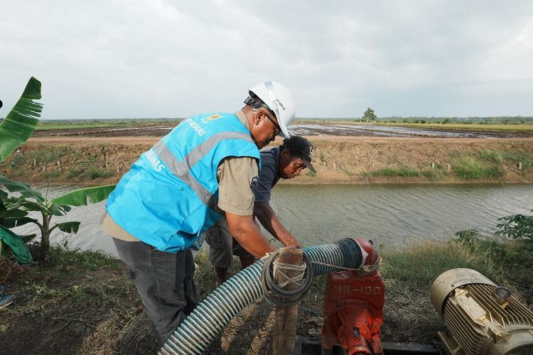 Petugas PLN bersama salah satu petani menyalakan pompa air bertenaga listrik untuk mengairi sawah di lahan percontohan Kawasan Food Estate di Kampung Telaga Sari, Merauke.
