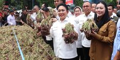 Inovasi Hilirisasi Bawang Merah Brebes Tembus Pasar Global, Titiek Soeharto Beri Apresiasi