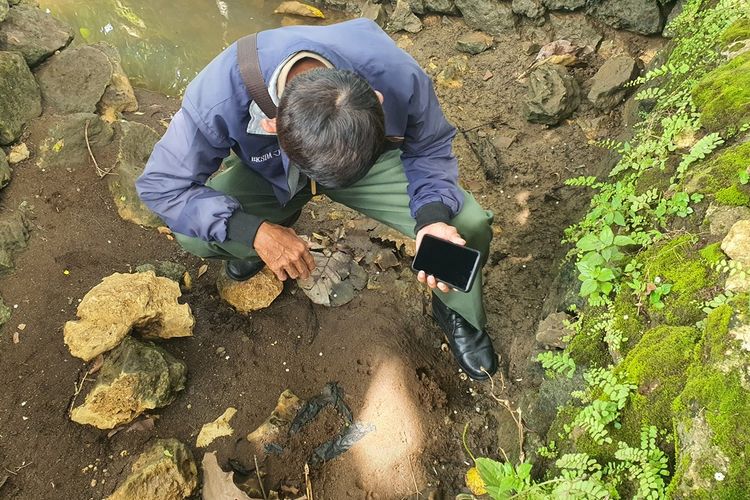 Petugas dari BKSDA Yogyakarta memeriksa jejak hewan di sungai kecil di Kalurahan Piyaman, Wonosari, Gunungkidul, DI Yogyakarta. Senin (12/12/2022(