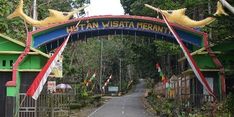 Hutan Meranti Putih, Destinasi Wisata di Kotabaru yang Rindang dan Sejuk