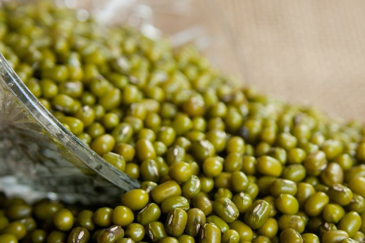 Hasil panen kacang hijau