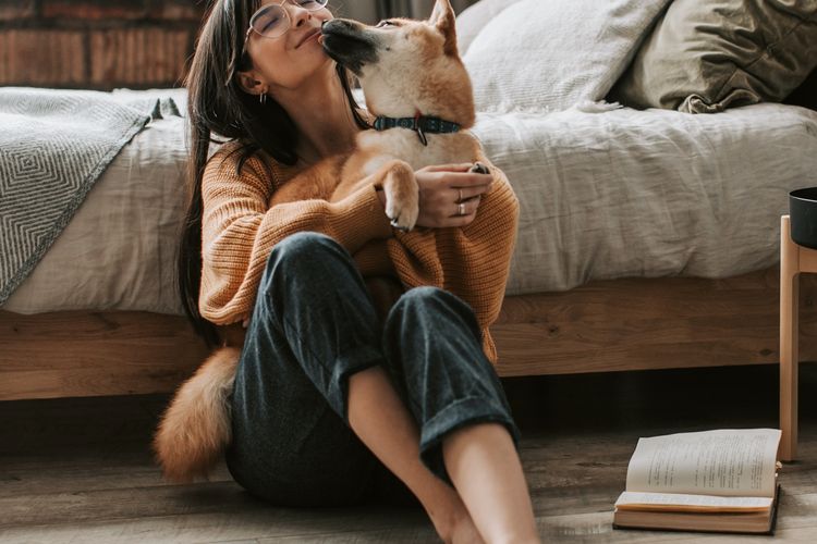Anjing yang mencium dengan memberikan jilatan basah bisa menjadi tanda terima kasih