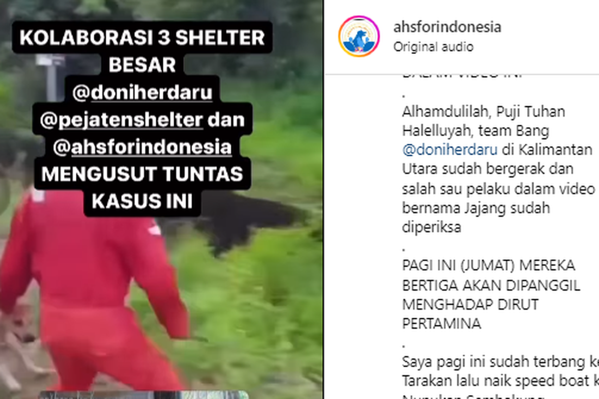 Tangkapan layar video rekaman aksi pekerja di Kaltara melempar anjing ke danau berisi buaya