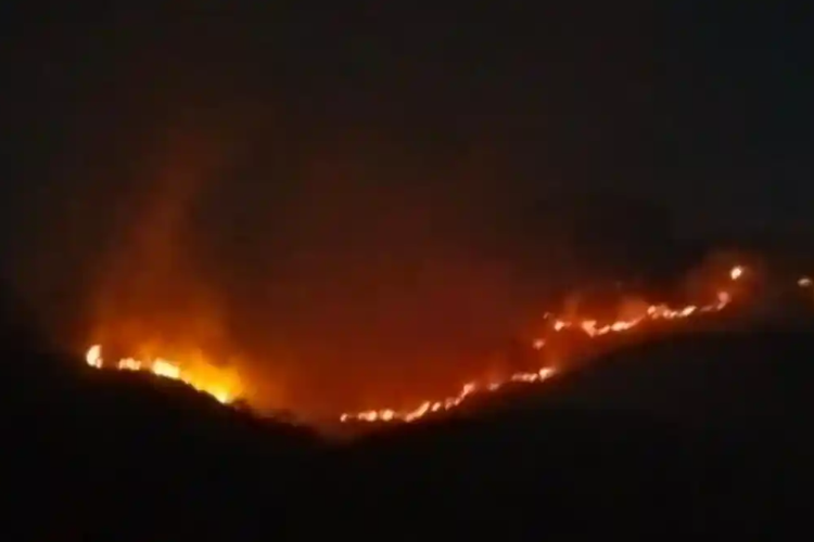 Kebakaran Hutan di Gunung Sumbing, 152 Pendaki Dievakuasi dan Water Bombing Dipertimbangkan