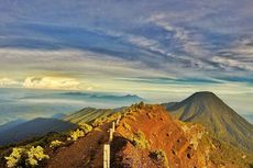 Mulai 1 November 2023, Daftar Pendakian Gunung Gede Pangrango Lebih Mudah via Aplikasi