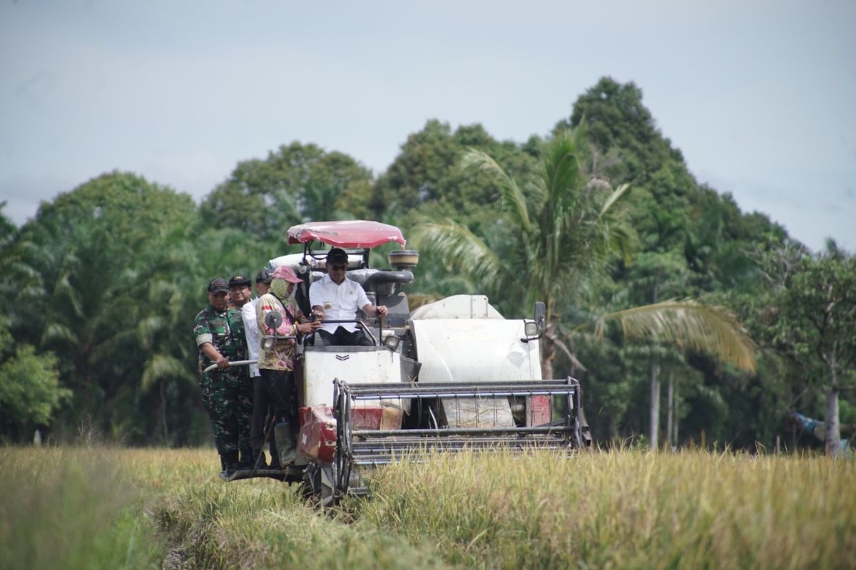 Petani Aceh Mengeluh, Bupati Abdya Harap Pemerintah Pusat Atasi 2 Persoalan Ini