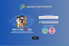 Sensus Penduduk Online 2020, Ini Tahapan Cara Daftar dan Isi Data