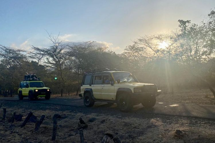 Savana Bekol di Taman Nasional Baluran di Situbondo-Banyuwangi, Jawa Timur. 