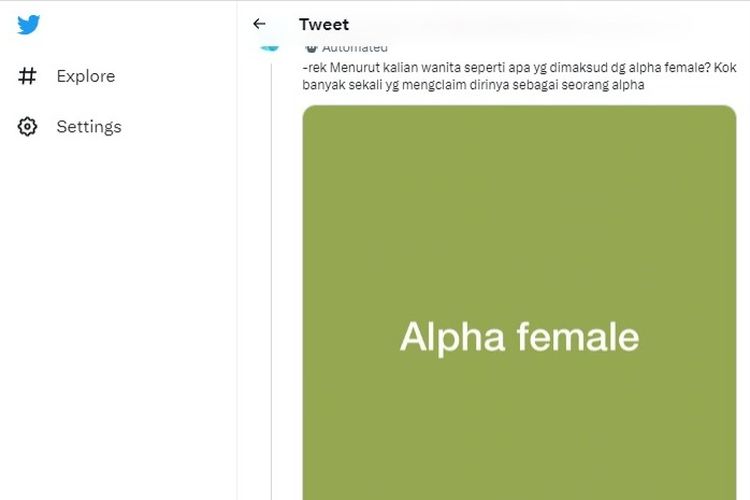 Mengenal apa itu alpha female.