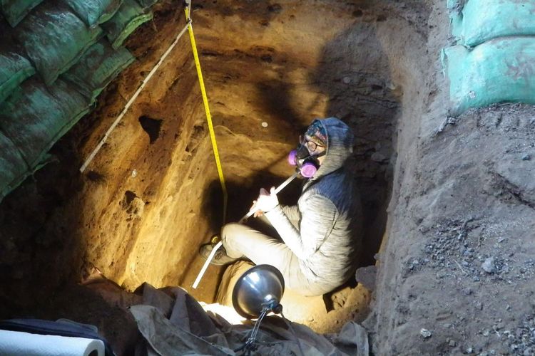 Pakar geoarkeologi Lisa-Marie Shillito mengumpulkan sampel kotoran dari gua Paisley, Oregon.