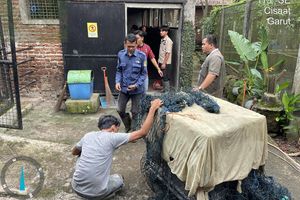 Macan Tutul yang Masuk Permukiman Pacet Bandung Jalani Pemulihan, Kondisi Masih Trauma