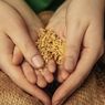 Perbedaan Zakat Fitrah dan Zakat Mal, dari Pengertian hingga Besarannya