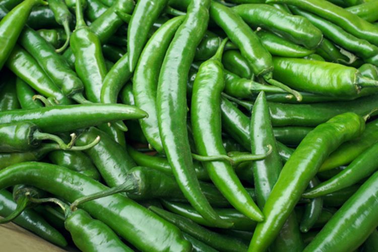 Ilustrasi cabai hijau besar