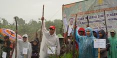 Upayakan Produksi Padi Melimpah, Kementan Giatkan Lahan Perkebunan lewat 