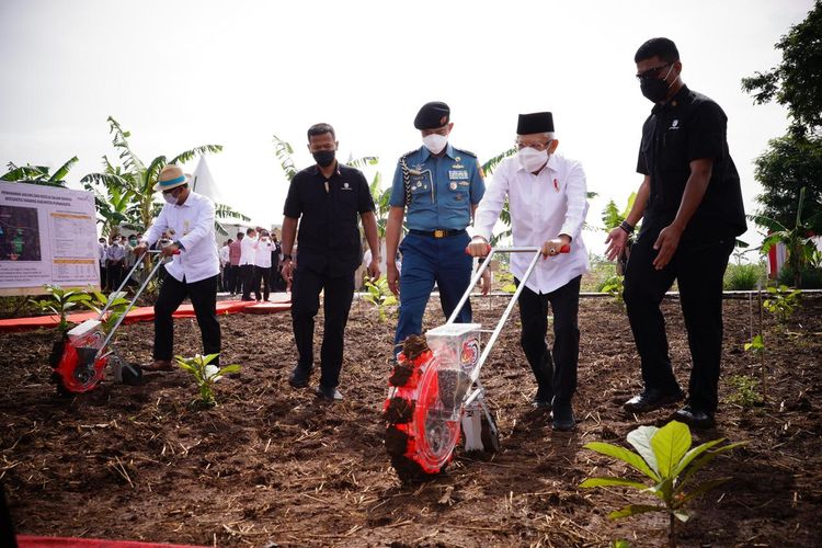 Wakil Presiden Ma'ruf Amin menanam jagung dan kedelai dalam kunjungan kerjanya di Desa Ciparung Sari, Purwakarta, Senin (28/3/2022) pagi