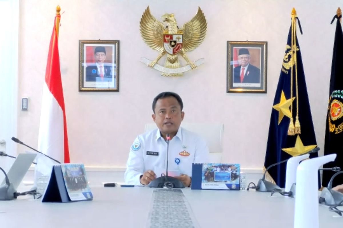 Direktur Jenderal (Dirjen) PSDKP Kementerian KP Laksamana Muda Tentara Nasional Indonesia (TNI) Adin Nurawaluddin