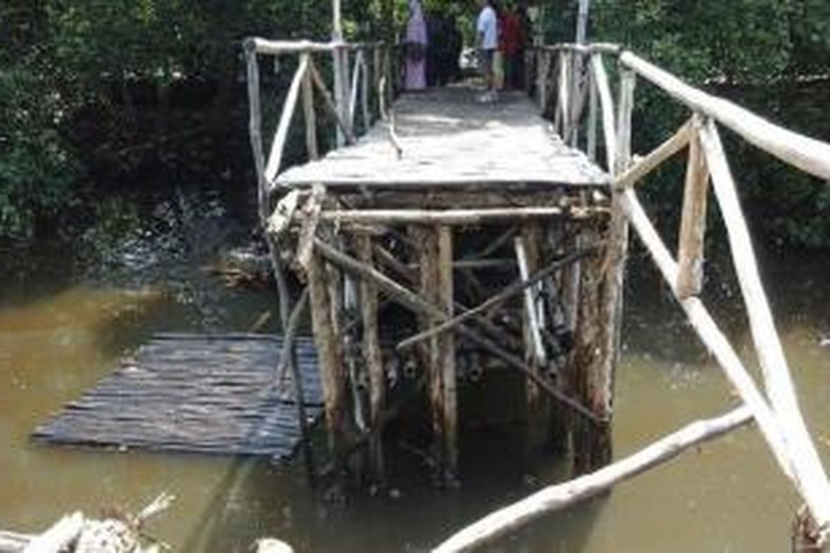 Jembatan wisata mangrove di PIK, Penjaringan, Jakarta Utara, roboh, Kamis (31/7/2014) siang. 