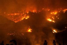 Empat Petugas Sipil dan Dua Polisi Tewas Saat Tangani Kebakaran Hutan Cile