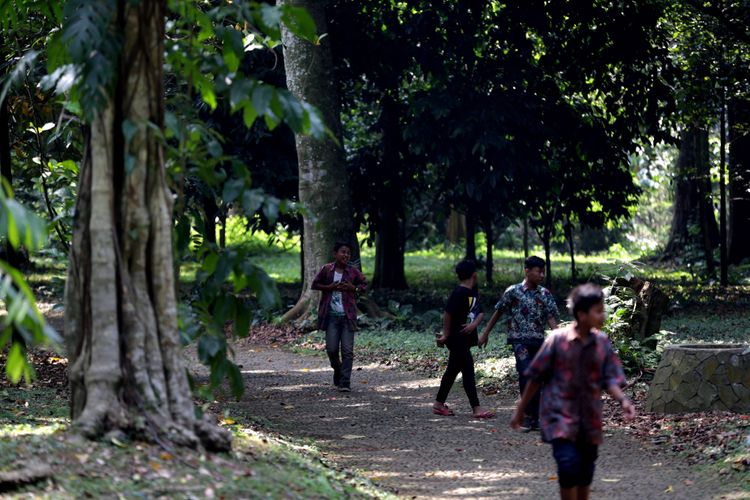 Wisatawan mengunjungi Kebun Raya Bogor, Jawa Barat, Jumat (19/5/2017). Kebun botani yang digagas oleh Prof C.G.C Reinwardt seorang botanis berkebangsaan Jerman sebagai tempat penelitian ini genap berusia 200 tahun. KOMPAS IMAGES/KRISTIANTO PURNOMO