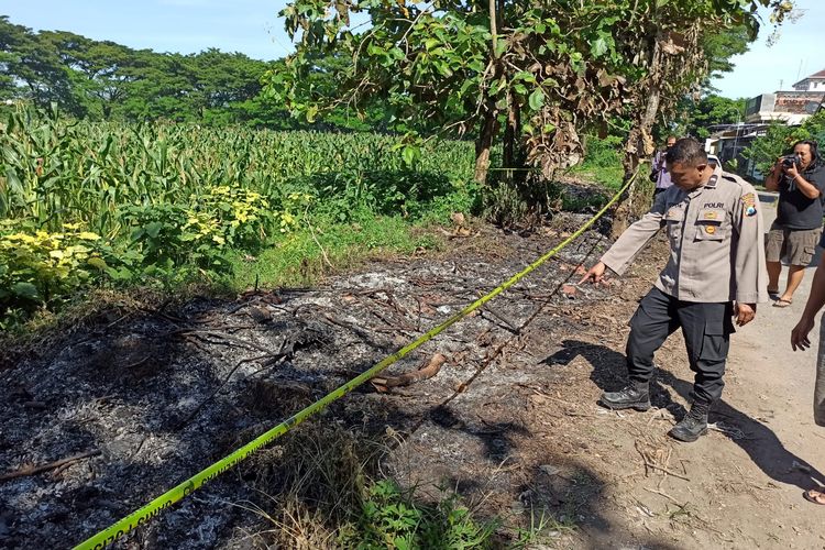 LOKASI KEJADIAN--Salah satu aparat Polres Ponorogo menunjuk lokasi penganiayaan SW (50), seorang ibu rumah yang ditemukan dalam kondisi banyak luka tusukan di dipinggir ladang jagung di  Kelurahan Tonatan, Kecamatan/Kabupaten Ponorogo, Minggu (16/4/2023) dinihari. 