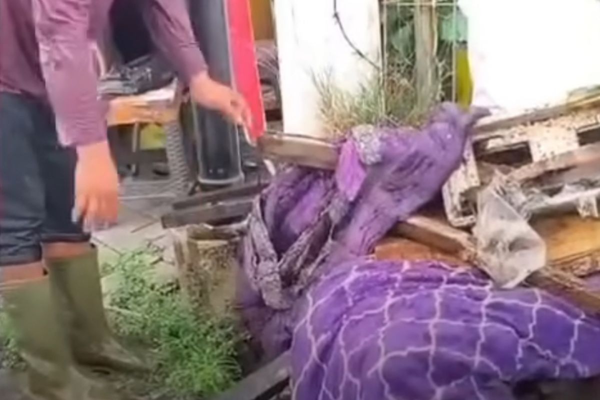 Sejumlah sampah yang ditemukan di saluran air Surabaya pasca hujan, Kamis (13/11/2025).