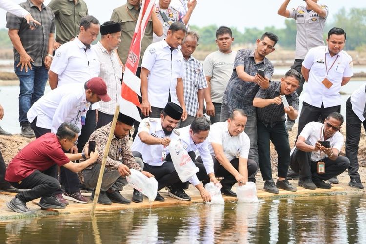 Lima Gampong di Aceh Timur Terima 4,2 Juta Benur untuk Pulihkan Tambak Pascabencana