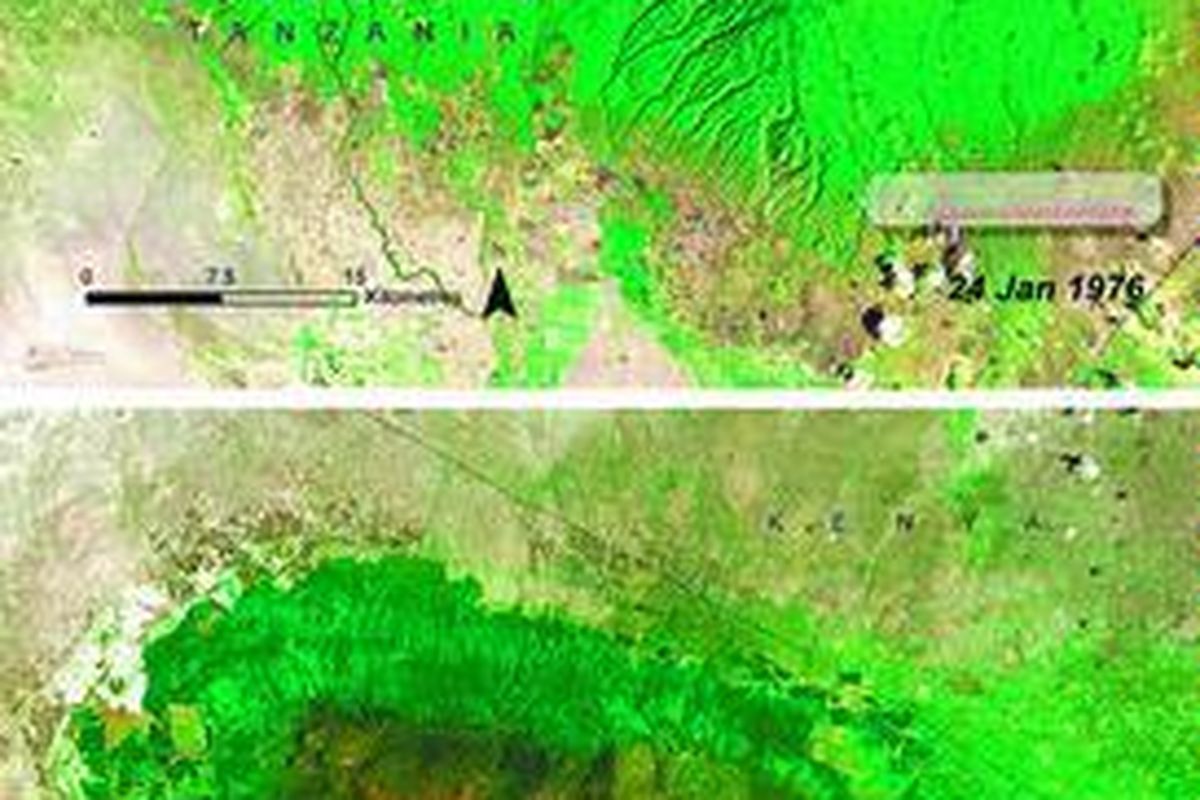 Foto satelit di samping menunjukkan pengurangan drastis es di puncak Gunung Kilimanjaro, Tanzania. Foto yang dikeluarkan Program Lingkungan PBB (UNEP) ini diambil tahun 1976 (atas) dan tahun 2006 (bawah). UNEP pada 10 Juni 2008 menerbitkan atlas yang memuat foto-foto yang menunjukkan perubahan drastis akibat pemanasan global di semua negara Afrika. Atlas tersebut membuat banyak pihak terperanjat.  