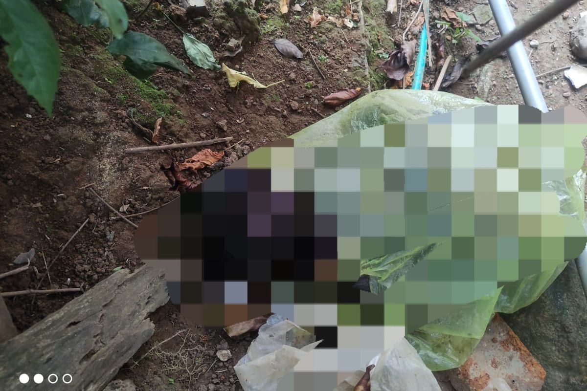 Foto: Warga Desa Tamansari, Kecamatan Sumbermalang, Kabupaten Situbondo, Provinsi Jawa Timur dikagetkan dengan penemuan mayat bayi hangus terbungkus kresek kuning pada Selasa (22/7/2025). 
