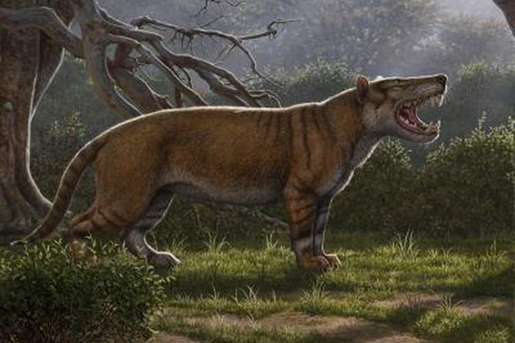 ilustrasi Simbakubwa, salah satu predator terbesar yang pernah hidup di Bumi